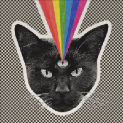 Black Cat CD