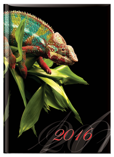 Agenda Joy J012 B/6 heti