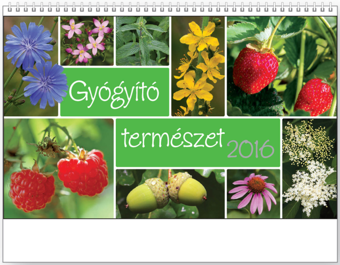 Asztali naptár TopTimer T058 álló Gyógyító természet