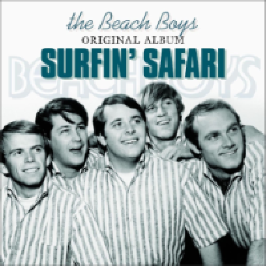 Surfin' Safari LP