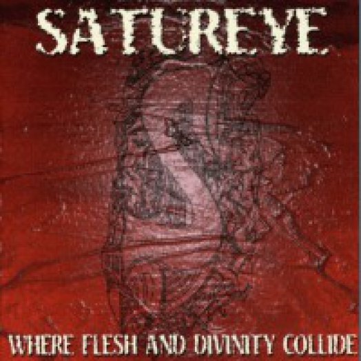 Where Flesh And Divinity Collide CD