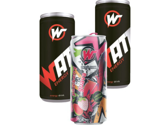 Watt energiaital