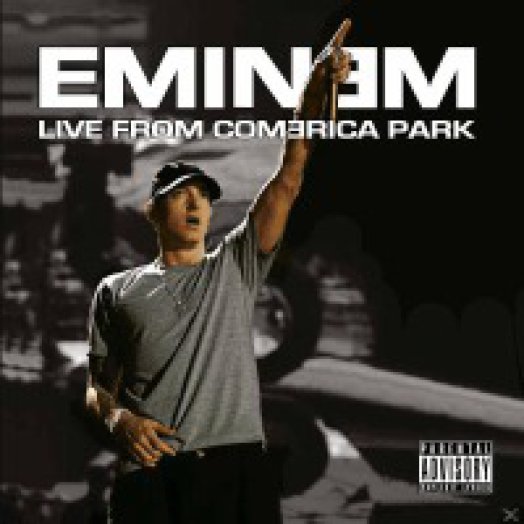 Live From Comerica Park LP