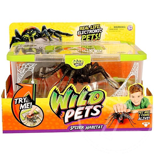 Wild Pets: Póklelőhely - Striper pók