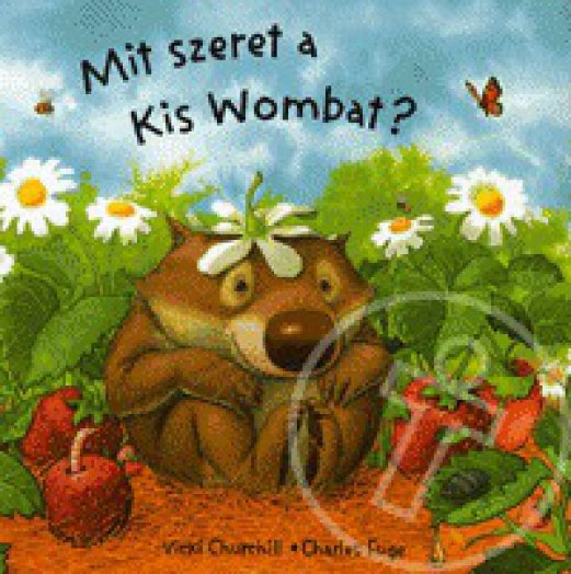 Mit szeret a Kis Wombat?