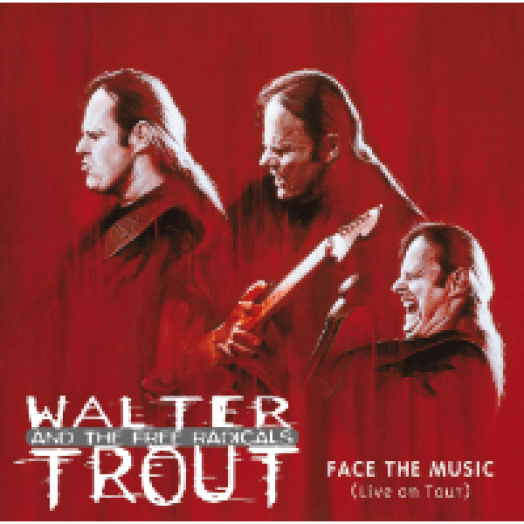 Face The Music - Live On Tour CD