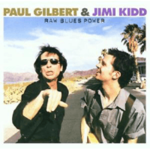 Raw Blues Power CD
