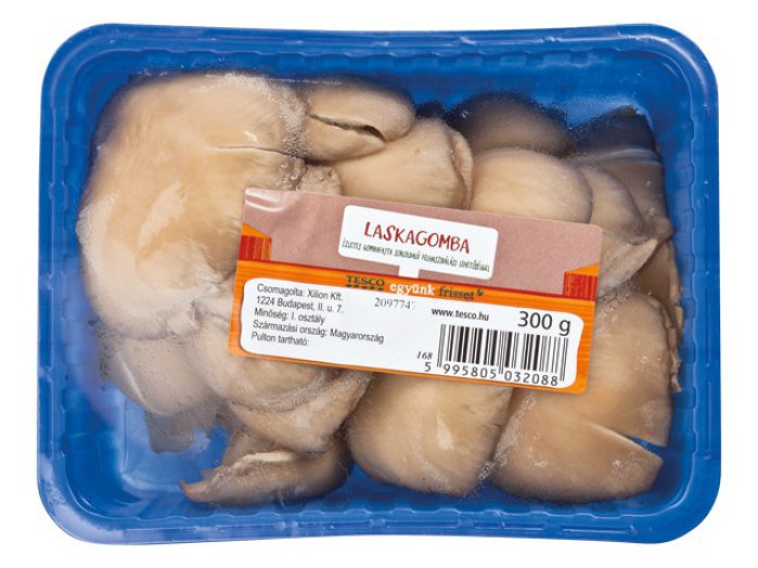 TESCO laskagomba