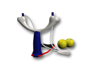 Játékok, kiegészítők állatoknak