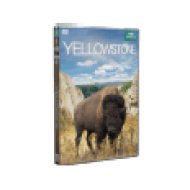 BBC  Yellowstone (DVD)