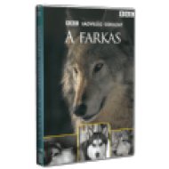 Vadvilág Sorozat - A Farkas DVD