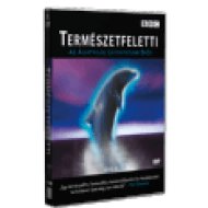 Természetfeletti 2. DVD