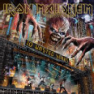 Iron Maidnem - 10 Wasted Years CD