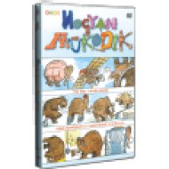 Hogyan működik DVD