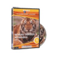 TCS 07. - Bengáli tigrisek afrikában (DVD)