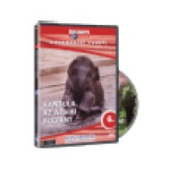TCS 06. - Kandula, az ázsiai elefánt (DVD)