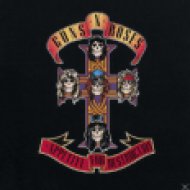 Appetite for Destruction (Vinyl LP (nagylemez))