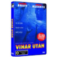 Vihar után DVD