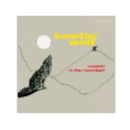 Moaning in the Moonlight (Vinyl LP (nagylemez))