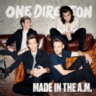 Made in the A.M. CD