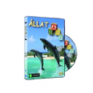 Állat ABC 1. (DVD)