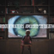 Amused to Death CD