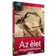 Az élet megpróbáltatásai 3-4. (díszdoboz) DVD