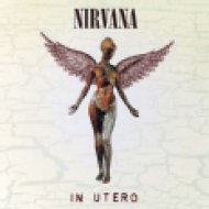 In Utero (20th Anniversary Edition) CD