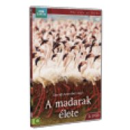 A madarak élete 3. DVD