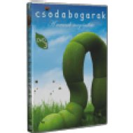 Csodabogarak 3. DVD