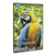 BBC Madarak élete DVD