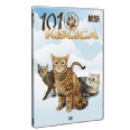 101 Kiscica DVD