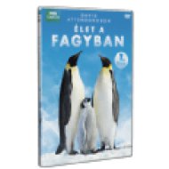 Élet a fagyban 1. DVD