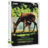 Gyöngyvirágtól lombhullásig (DVD)