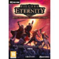 Pillars of eternity - Adventurer Edition (PC)