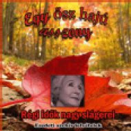 Egy ősz hajú asszony (CD)