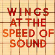At The Speed Of Sound (Limited Edition) (Vinyl LP (nagylemez))