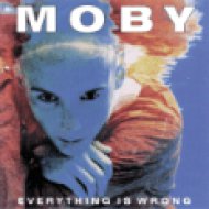 Everything Is Wrong (Vinyl LP (nagylemez))