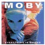 Everything Is Wrong (CD)