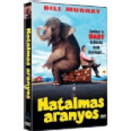 Hatalmas aranyos (DVD)