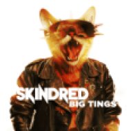 Big Tings (Digipak) (CD)