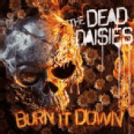 Burn It Down (Digipak) (CD)