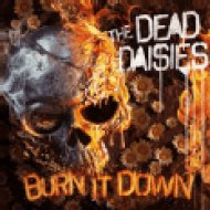 Burn It Down (Picture Disk) (Vinyl LP (nagylemez))