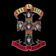 Appetite For Destruction (CD)
