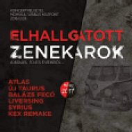 Elhallgatott Zenekarok - A 60-as, 70-es évekből (CD)