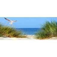ÜVEGKÉP 50X125CM SIRÁLY (ZORAN) (SEAGULL) Outlet