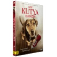 Egy kutya hazatér (DVD)