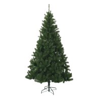 MŰFENYŐ NORDMANN KING 150CM