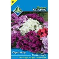 VÁGOTT VIRÁG TÖRÖKSZEGFŰ TELTV.MAGAS SZÍNKEVERÉK