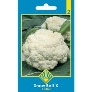 CLASSIC KARFIOL SNOW BALL X